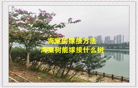 海棠的嫁接方法 海棠树能嫁接什么树